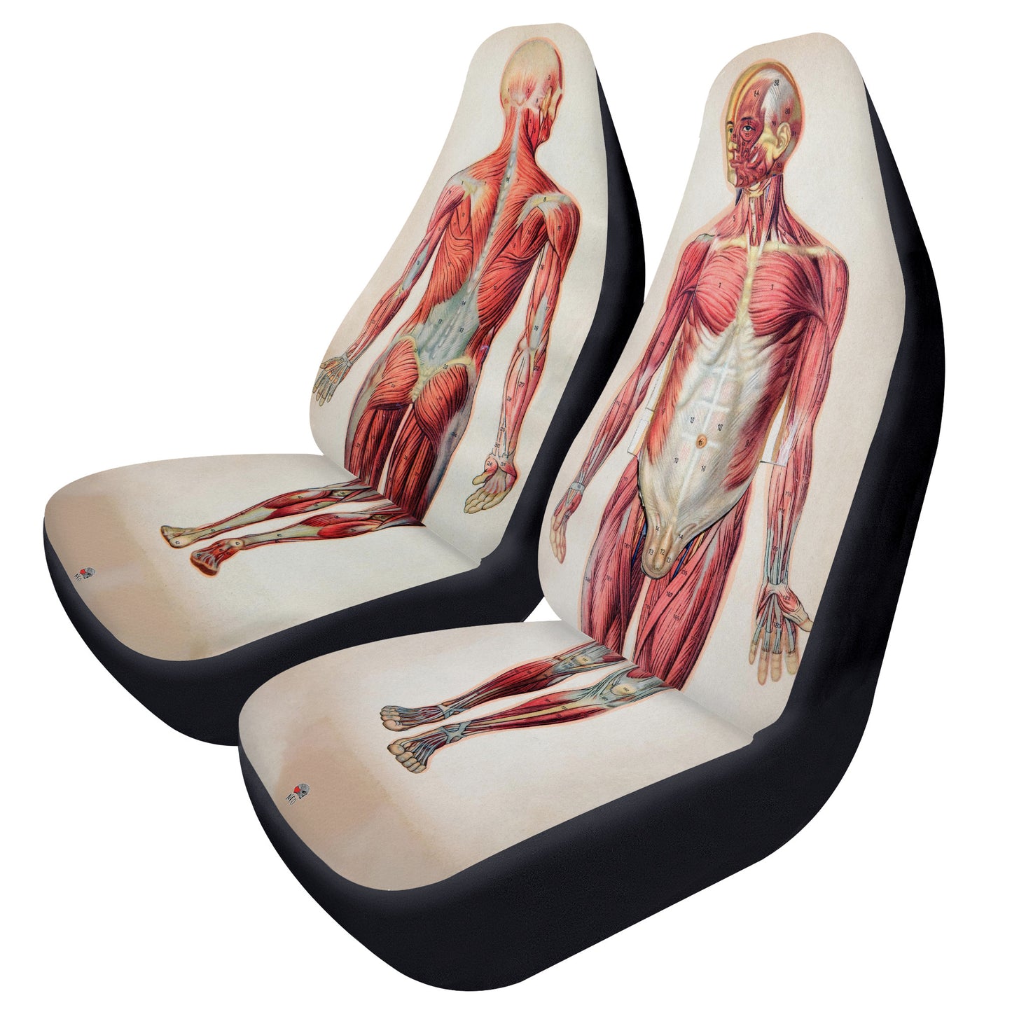 Vintage Anatomy Car Seat Covers