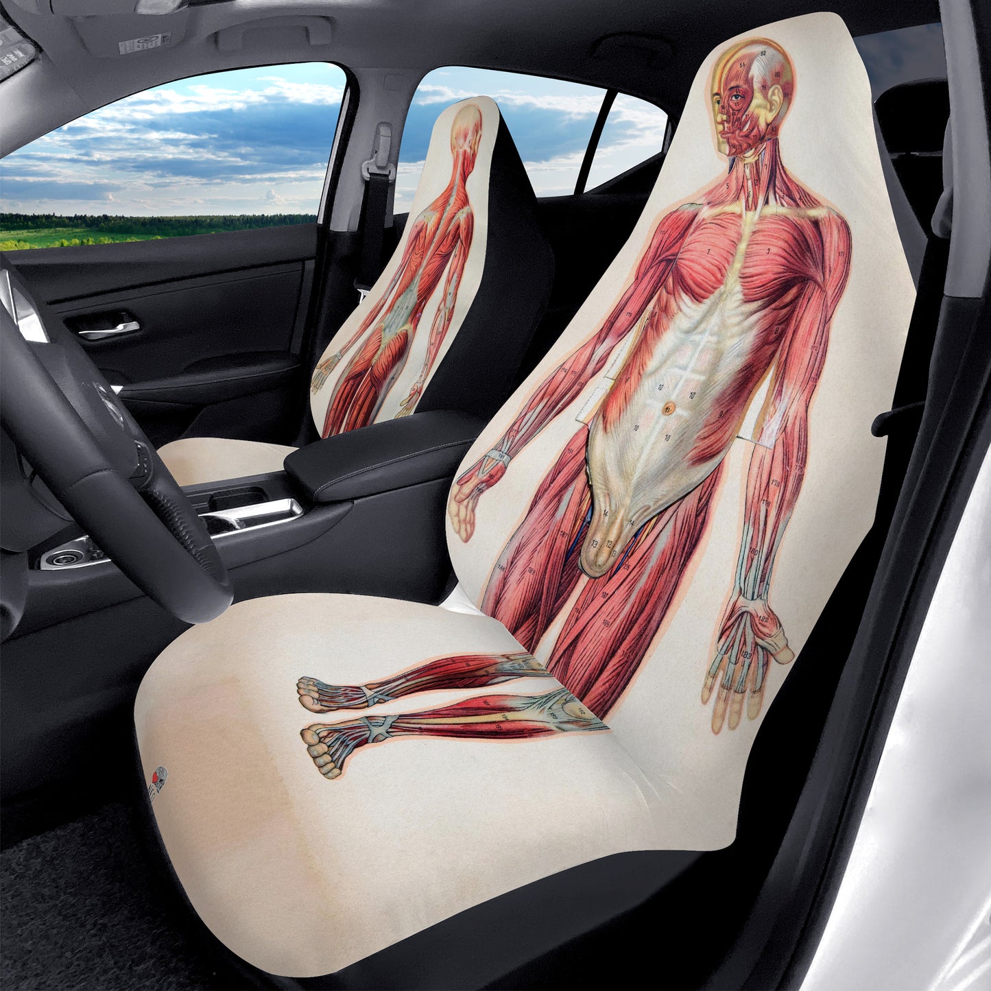Vintage Anatomy Car Seat Covers