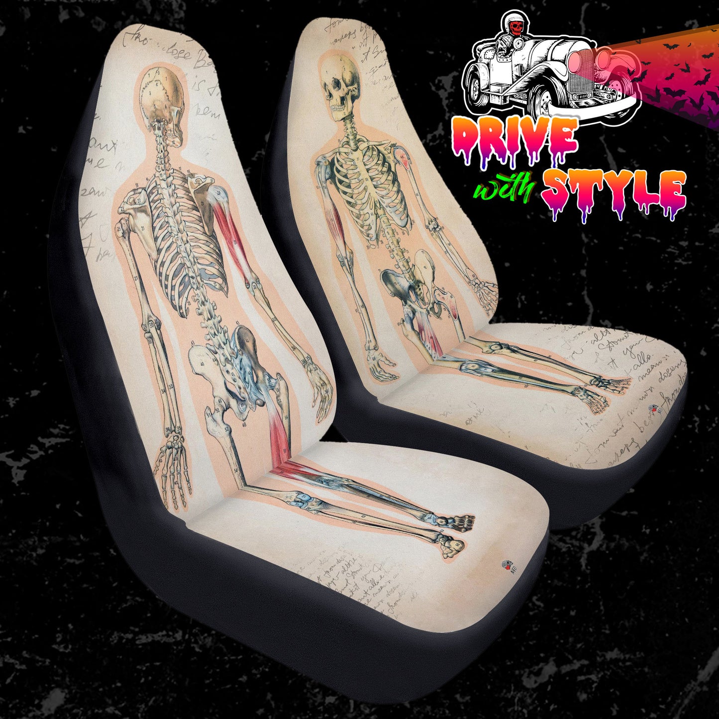 anatomy skeleton car accessories
