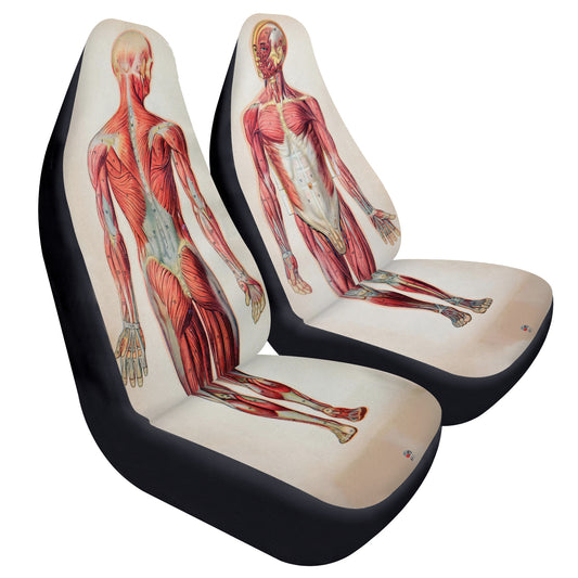 Vintage Anatomy Car Seat Covers