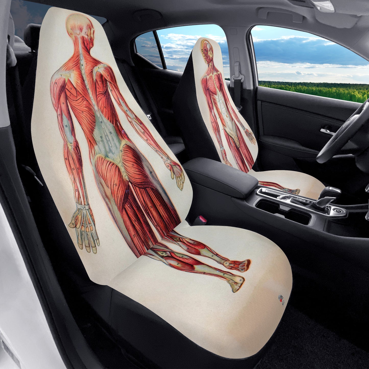Vintage Anatomy Car Seat Covers